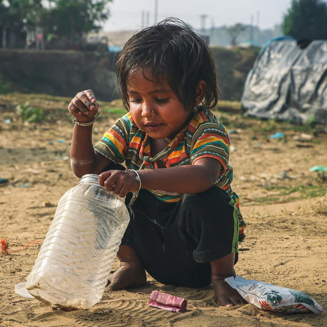 The Story Behind Shelter & Seed Initiative