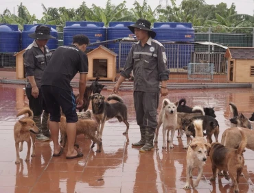 He Was Found Blind and Alone — Now 1,500 Lives Need Your Help