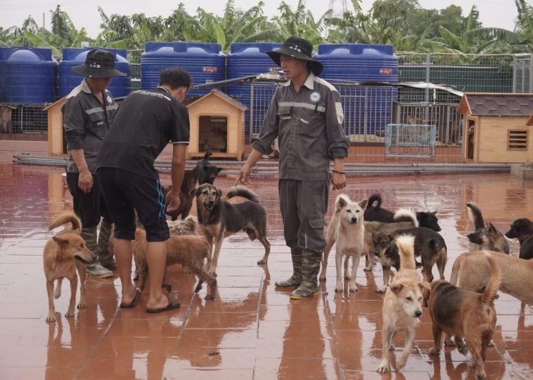 He Was Found Blind and Alone — Now 1,500 Lives Need Your Help