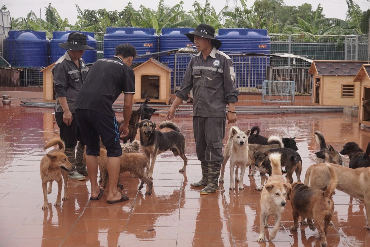 He Was Found Blind and Alone — Now 1,500 Lives Need Your Help